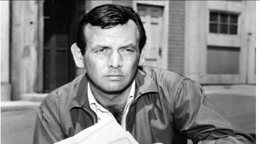 david janssen